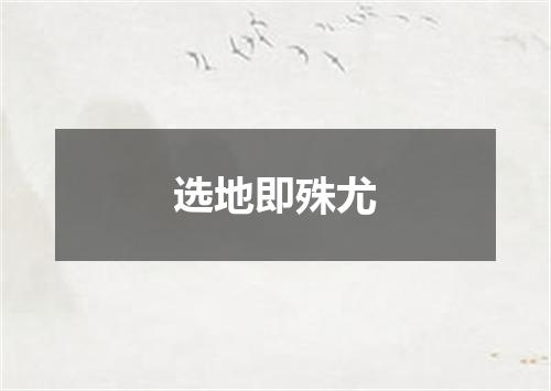选地即殊尤
