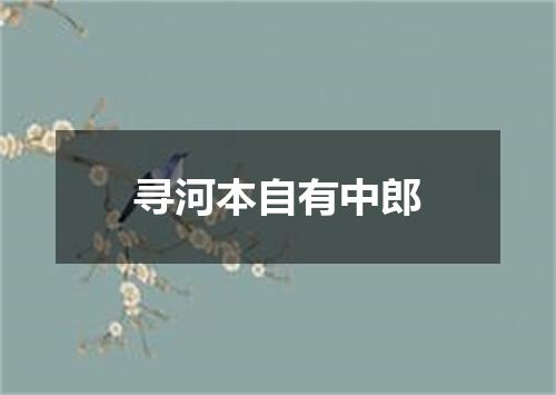 寻河本自有中郎