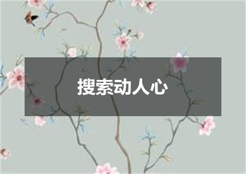搜索动人心