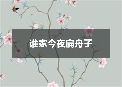 谁家今夜扁舟子