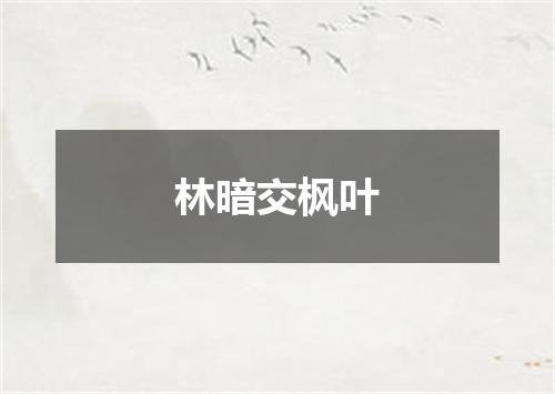 林暗交枫叶