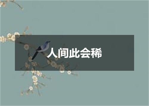 人间此会稀
