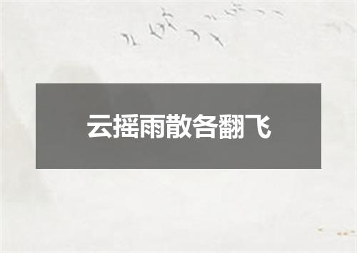 云摇雨散各翻飞