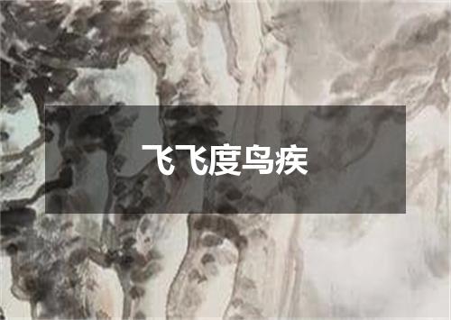 飞飞度鸟疾