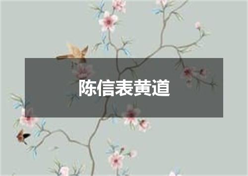 陈信表黄道