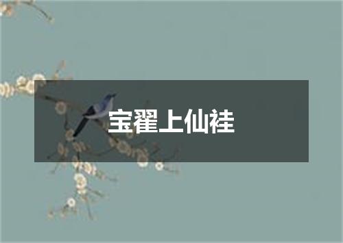 宝翟上仙袿