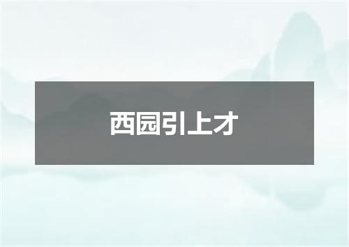 西园引上才