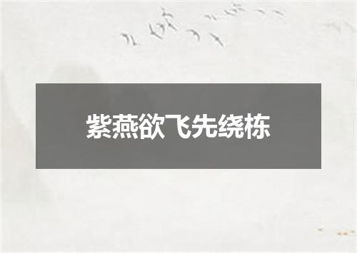 紫燕欲飞先绕栋