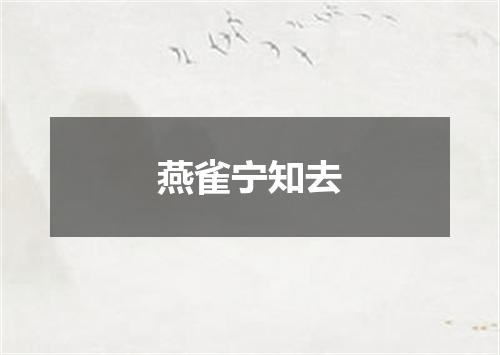 燕雀宁知去