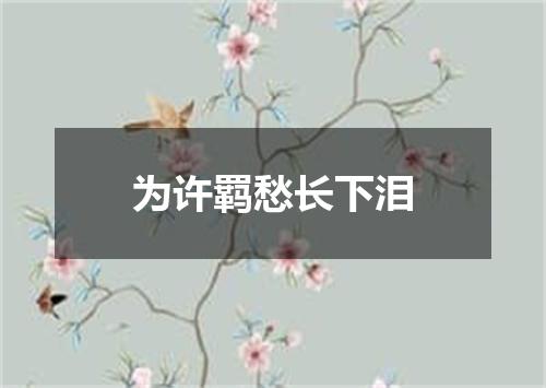 为许羁愁长下泪