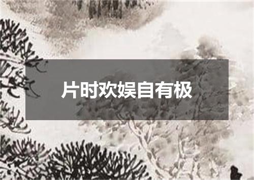 片时欢娱自有极