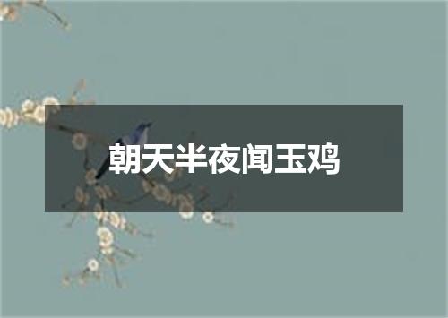 朝天半夜闻玉鸡