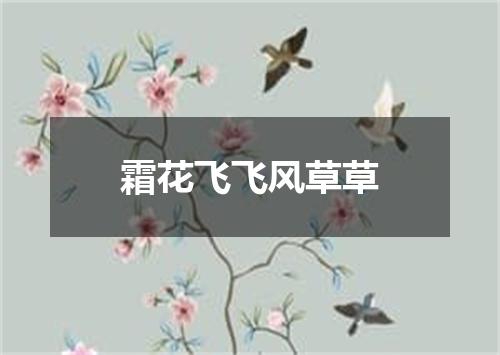 霜花飞飞风草草