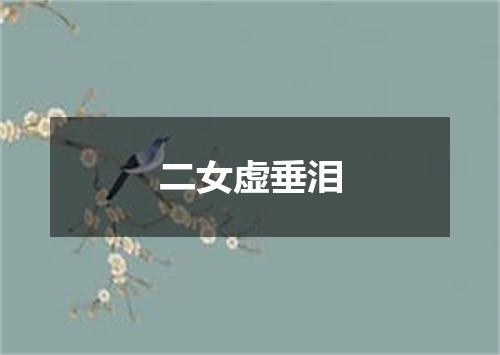 二女虚垂泪