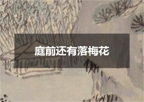 庭前还有落梅花