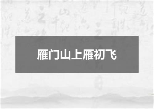 雁门山上雁初飞