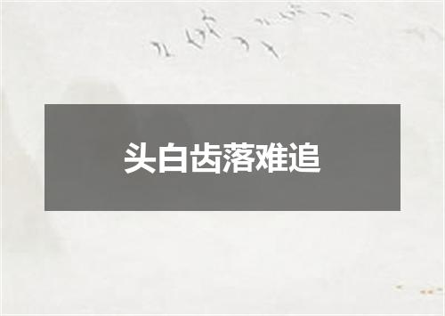 头白齿落难追
