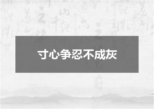 寸心争忍不成灰