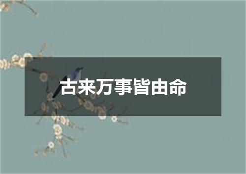 古来万事皆由命