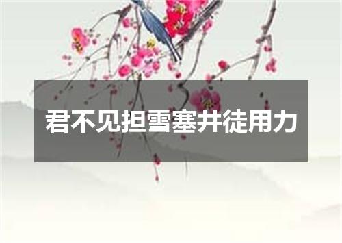 君不见担雪塞井徒用力