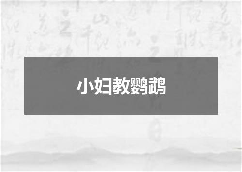 小妇教鹦鹉