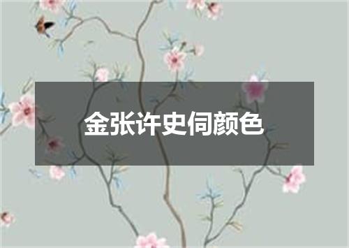 金张许史伺颜色