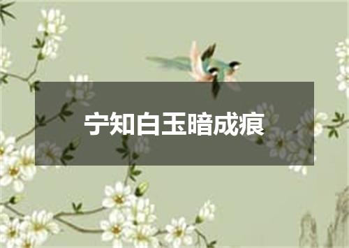 宁知白玉暗成痕