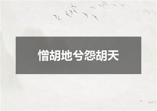 憎胡地兮怨胡天