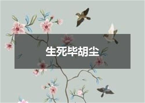 生死毕胡尘