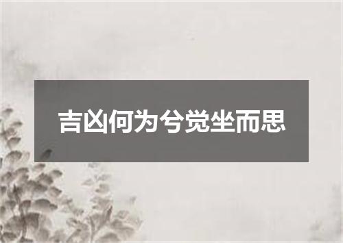 吉凶何为兮觉坐而思