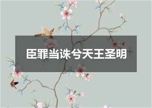 臣罪当诛兮天王圣明