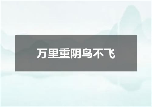 万里重阴鸟不飞