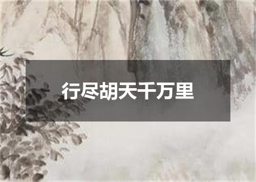 行尽胡天千万里