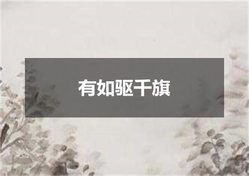 有如驱千旗