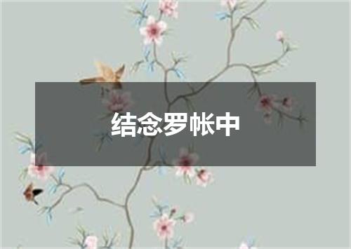 结念罗帐中
