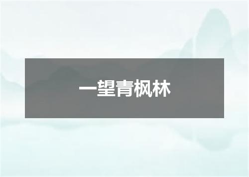 一望青枫林