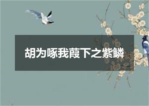 胡为啄我葭下之紫鳞