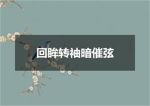 回眸转袖暗催弦