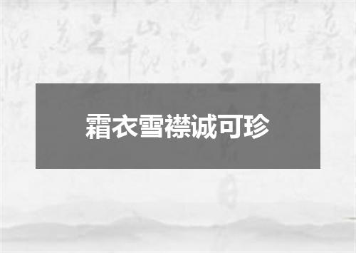 霜衣雪襟诚可珍
