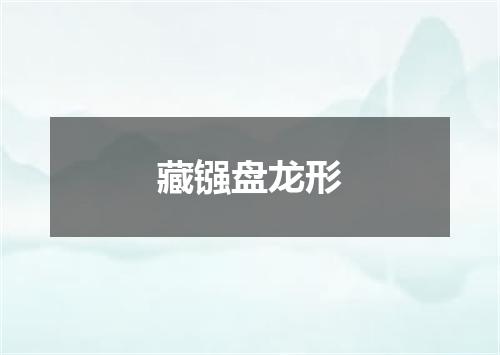 藏镪盘龙形
