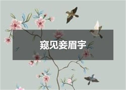 窥见妾眉宇