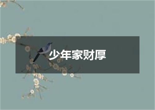 少年家财厚