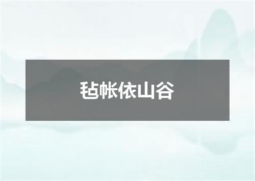 毡帐依山谷