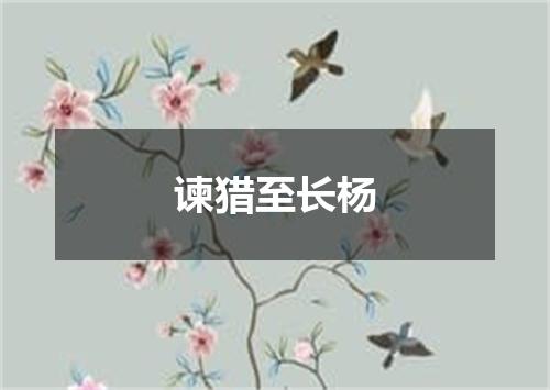 谏猎至长杨