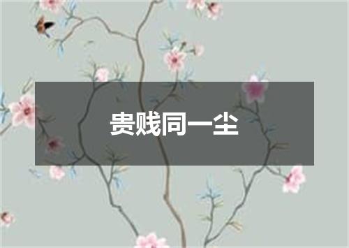 贵贱同一尘