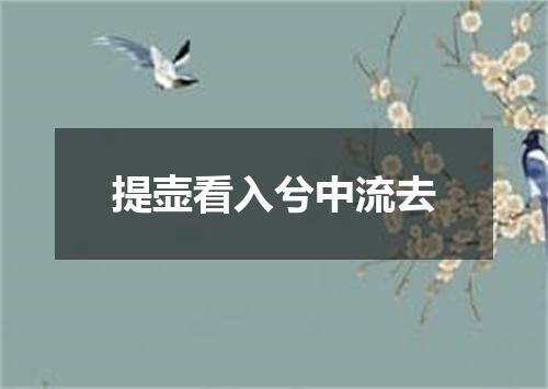 提壶看入兮中流去