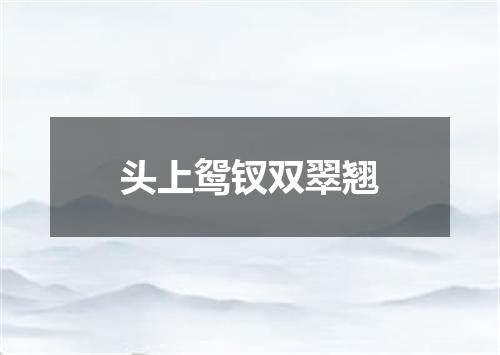 头上鸳钗双翠翘
