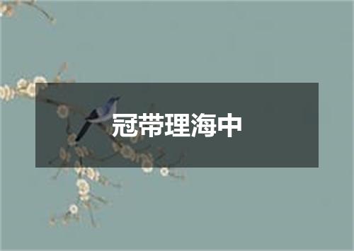 冠带理海中