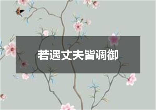 若遇丈夫皆调御