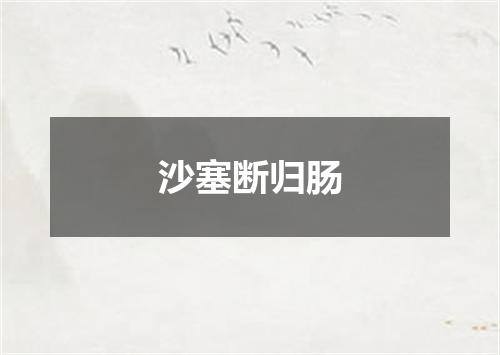 沙塞断归肠